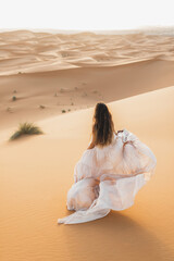 Portrait of bride woman in amazing wedding dress in Sahara desert, Morocco. Warm evening light, beautiful pastel tone, sand dunes on horizon. View from behind. - 367560646