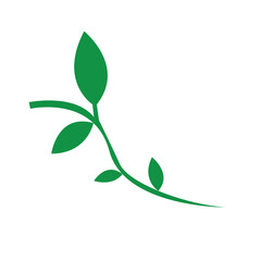 Climbing plant icon. Decorative garden - Vector illustration