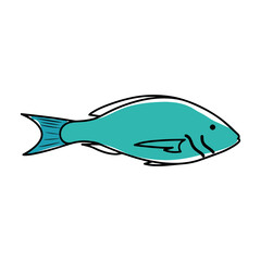 Sketch of a blue fish icon. Animal icon. Healthy food - Vector