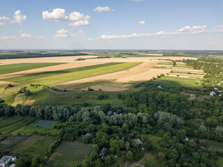 Fototapeta na wymiar Aerial drone view. Ripe fields of corn and wheat in Ukraine.