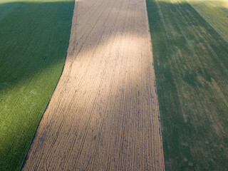 Aerial drone view. Ripe fields of corn and wheat in Ukraine.