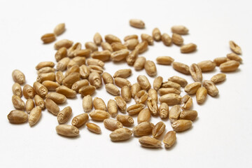 Wheat grains on white isolated background. Pile of cereal grains scattered on the table close-up. Seeds of barley, wheat, oats, rye, triticale macro shooting. Natural dry grain throughout the image