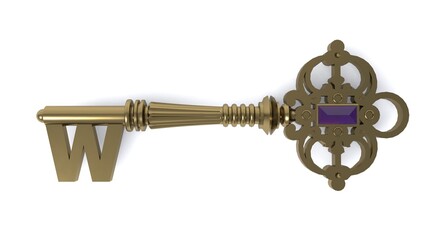 3D illustration of letter W Key