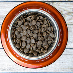 Dry dog kibble in a bowl