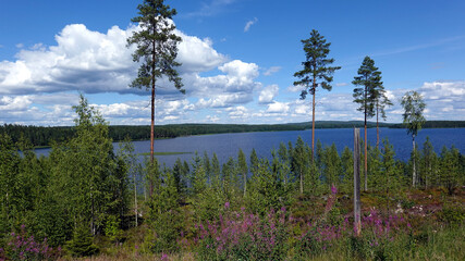 View to Lake P&auml;ij&auml;nne in Jams&auml;, Finland.