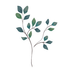 branch with leaves on white background vector illustration design