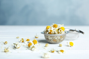 Dry chamomile flowers in infuser on white wooden table