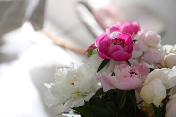 Beautiful blooming peonies against blurred background, closeup. Space for text