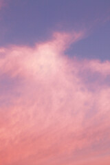 Fototapeta premium pastel blue and pink fluffy clouds background