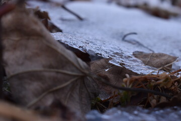 The slice layer of the white ice in Sapporo Japan