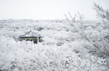 Small house surrounded by snowy trees Jeju Island in South Korea