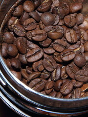 natural coffee beans in placers in coffee grinder before grinding