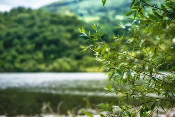 River and mountains close up photo