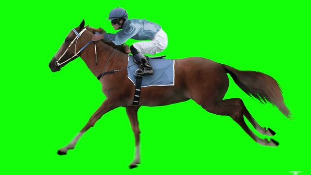 Jockey riding a red horse runs gallop. Isolated and cyclic. Can be used as a silhouette. Green Screen.