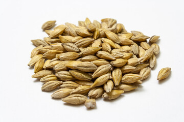 Barley malt on a white background. Big heap of cereal grains isolated close up. Seeds of barley, wheat, oats, rye, triticale macro shooting. Natural dry grain in the center of the image