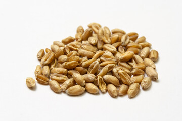 Wheat grains on a white background. Heap of cereal grains isolated closeup. Seeds of barley, wheat,...