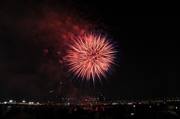 Beautiful scenery of fireworks in the dark night sky at Seoul International Fireworks Festival