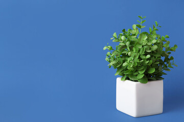 Beautiful artificial plant in flower pot on blue background, space for text