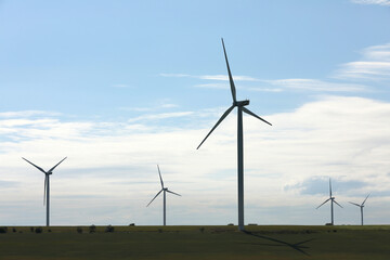 Fototapeta premium Beautiful view of field with wind turbines. Alternative energy source