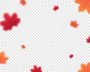 Maple leaf falling. Maple leaf isolated on transparent background. Vector illustration.