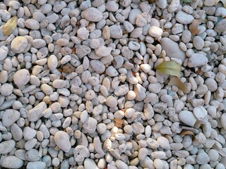 pebbles on the beach