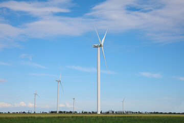 Fototapeta premium Beautiful view of field with wind turbines. Alternative energy source