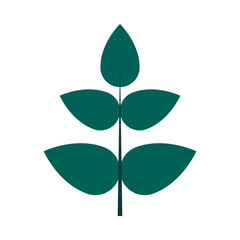 tropical leaf flat style icon vector design