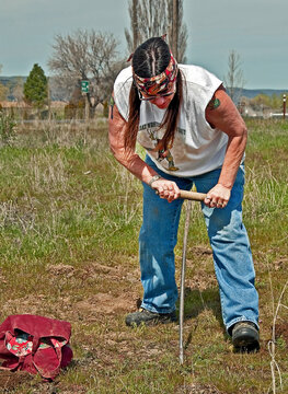 This mature Native American Indian woman with long hair and a headband is digging camas (sweet potatoes) manually with a stick in a Native American traditional way.