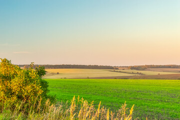 Agricultural landscape on a Sunny summer evening. Summer in the country.