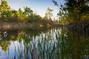 Evening landscape on wild lake