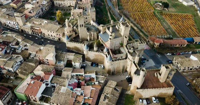 Aerial view of castle Palacio Real de Olite. Navarre. Spain