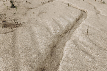 Fototapeta na wymiar A large crack on the surface of the sand. Rare plants are found in the sand. High quality photo