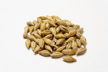 Barley malt on a white background. Heap of cereal grains isolated close up. Seeds of barley, wheat, oats, rye, triticale macro shooting. Natural dry grain in the center of the image