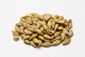 Barley malt on a white background. Heap of cereal grains isolated close up. Seeds of barley, wheat, oats, rye, triticale macro shooting. Natural dry grain in the center of the image