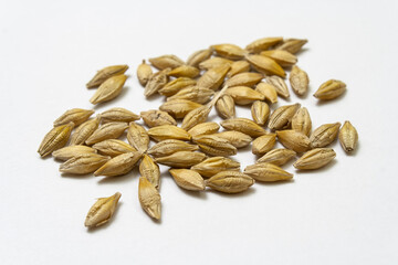 Barley malt on white isolated background. Pile of cereal grains scattered on the table close-up. Seeds of barley, wheat, oats, rye, triticale macro shooting. Natural dry grain in the center of image