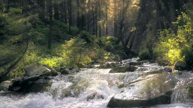 Rive magic forest waterfall mountains jungle rocks wild sun morning water ecology