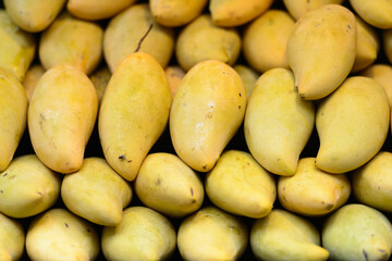 Portrait of fresh ripe yellow mangoes for sale