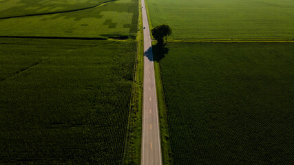 illinois kentucky ohio landscape corn fields and roads