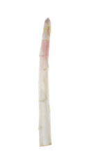 Fresh ripe raw asparagus isolated on white