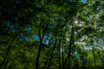 Cueva de Zugarramurdi