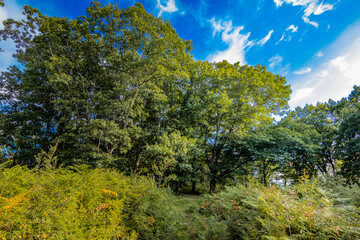 Zonas verdes, naturaleza del entorno de Zugarramurdi y Urdazubi