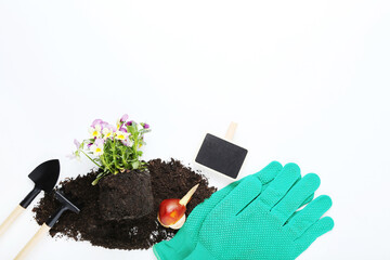 Garden tools with flowers on white background