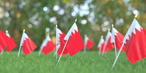 Small flags of Bahrain in the grass. National holiday related 3D rendering