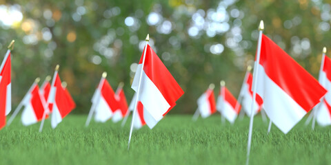 Small flags of Indonesia in the grass. National holiday related 3D rendering