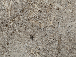 Salt flat. The soil is rich in salts.Texture of a dried-up lake.