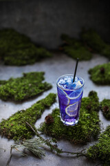 Blue drink in a tall glass on the moss. Blue lemonade with lavender and ice. View from above.