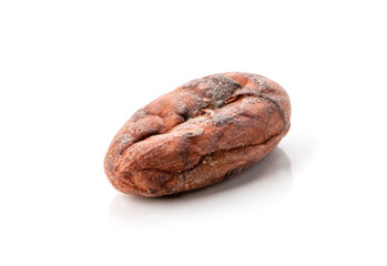 Cocoa bean isolated on a white background.