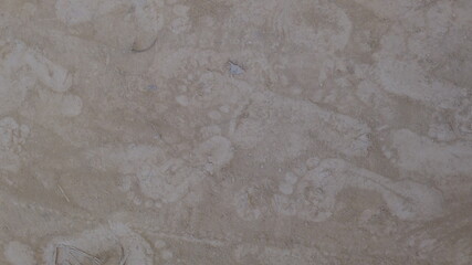 Uganda footprints
