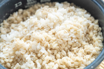 炊飯器で炊いたもち麦ご飯