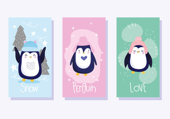 penguins with hats trees antarctic bird animal cartoon wildlife banner